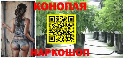 гидропоника Гусиноозёрск