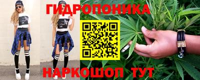 гидропоника Гусиноозёрск
