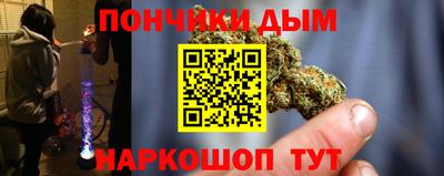 гидропоника Гусиноозёрск