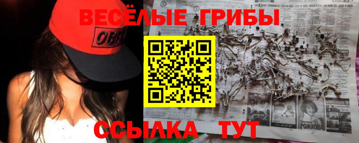 Муром  Галлюциногенные грибы GOLDEN TEACHER  Вход с VPN  Галлюциногенные грибы Magic Shrooms 